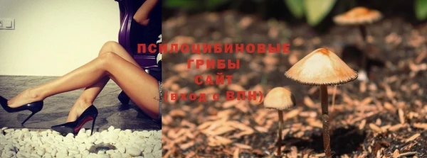 гашик Инсар