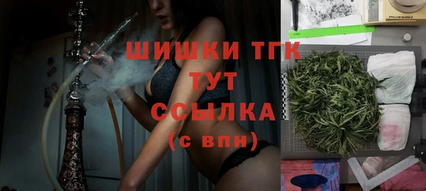 молекула духа Инта