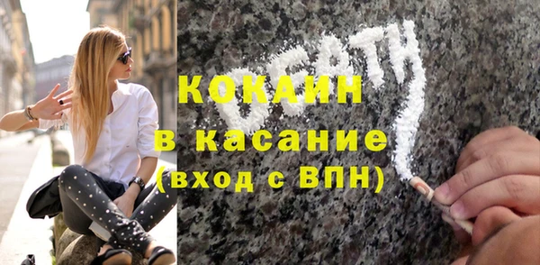 гашик Инсар