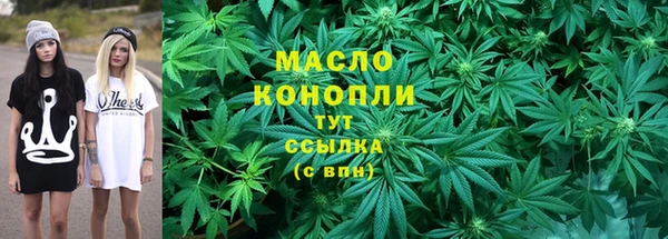 молекула духа Инта