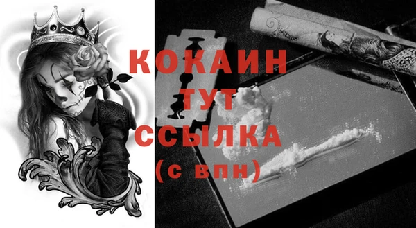 индика Майский