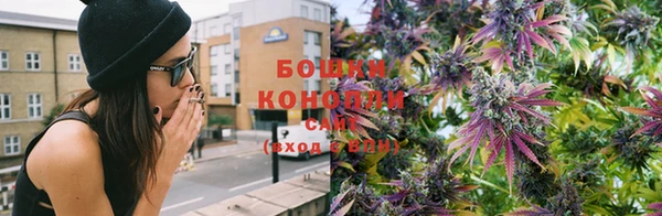 молекула духа Инта