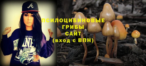 экстази Каменногорск