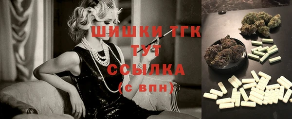 гашик Инсар