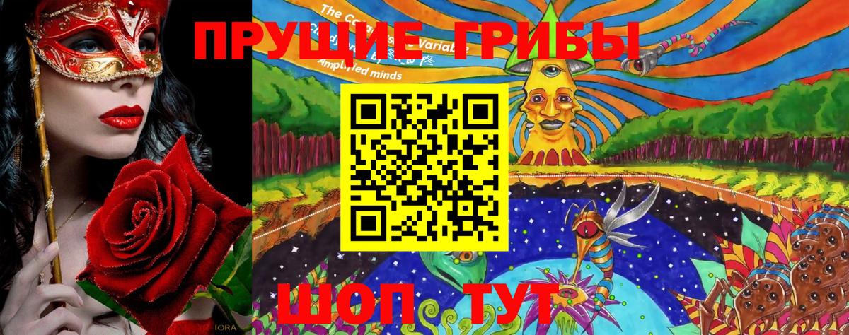 Псилоцибиновые грибы прущие грибы Октябрьский