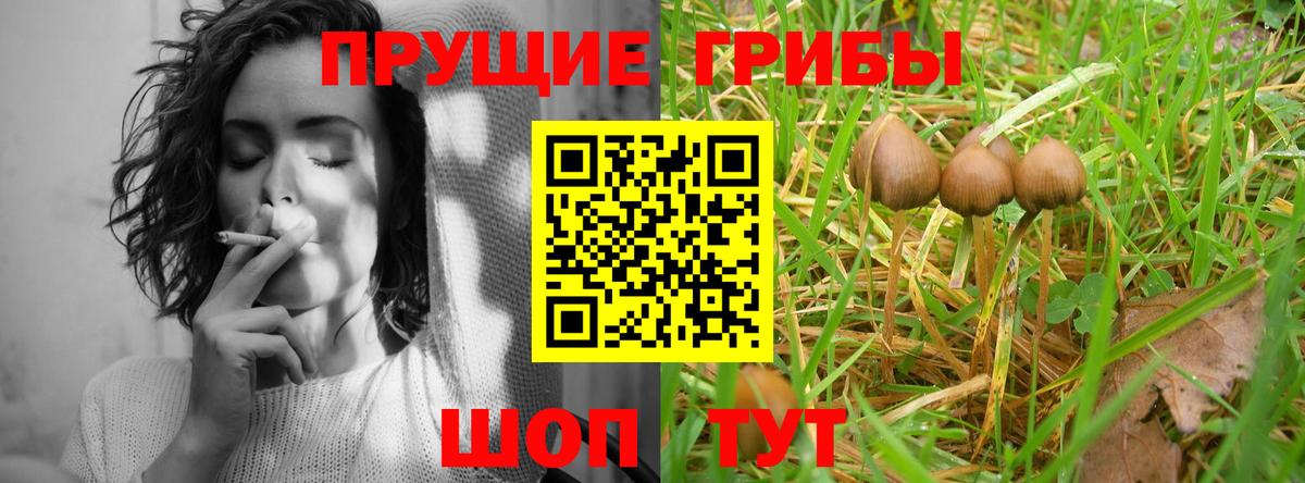 Псилоцибиновые грибы ЛСД  Галлюциногенные грибы MAGIC MUSHROOMS  Октябрьский 