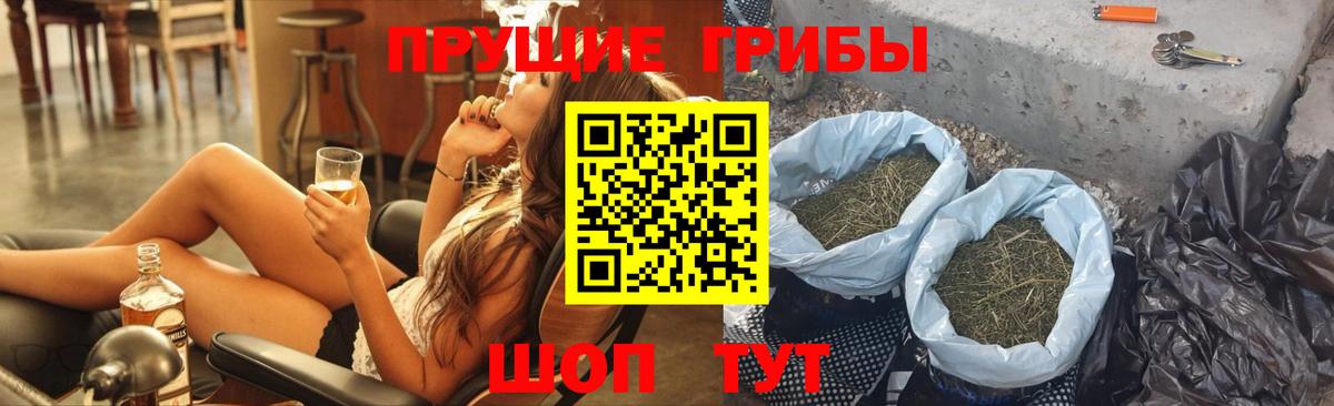 Псилоцибиновые грибы Cubensis Октябрьский